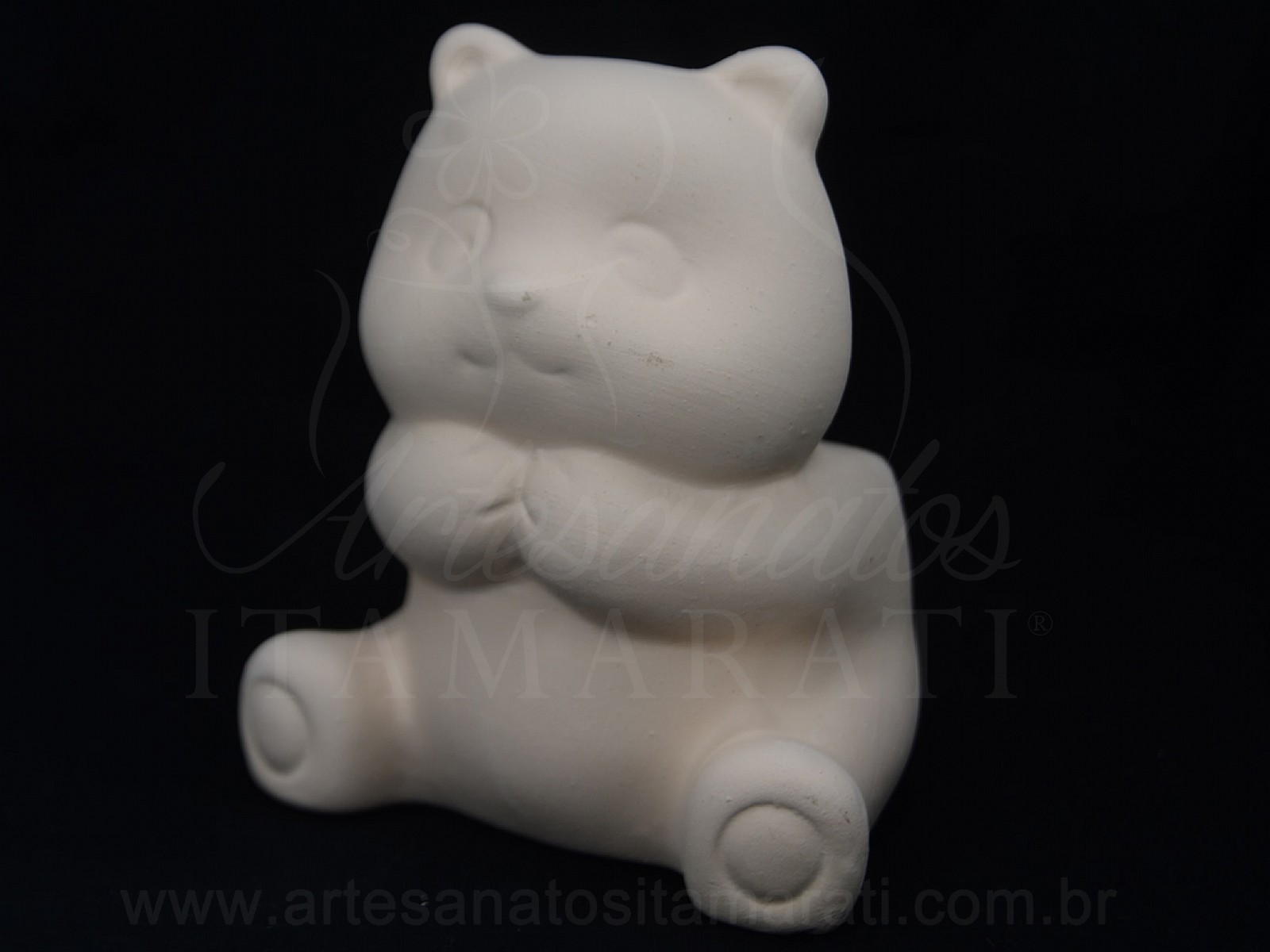 Urso Fofo Suculenta
